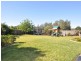 10 Poplar Level Terrace, Branxton NSW 2335