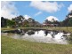 221 Dungog Road, Martins Creek NSW 2420