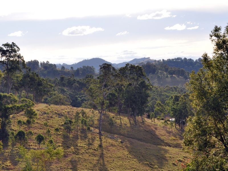 19 Hospital Road, Dungog NSW 2420