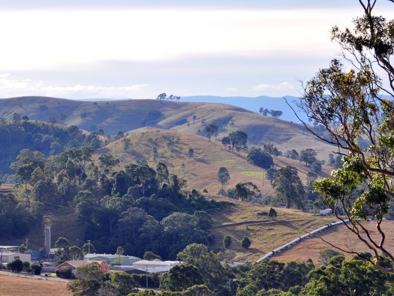 19 Hospital Road, Dungog NSW 2420