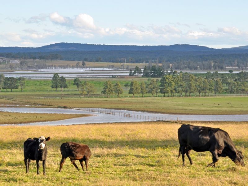 Lot 7 Duke Street, Morpeth NSW 2321