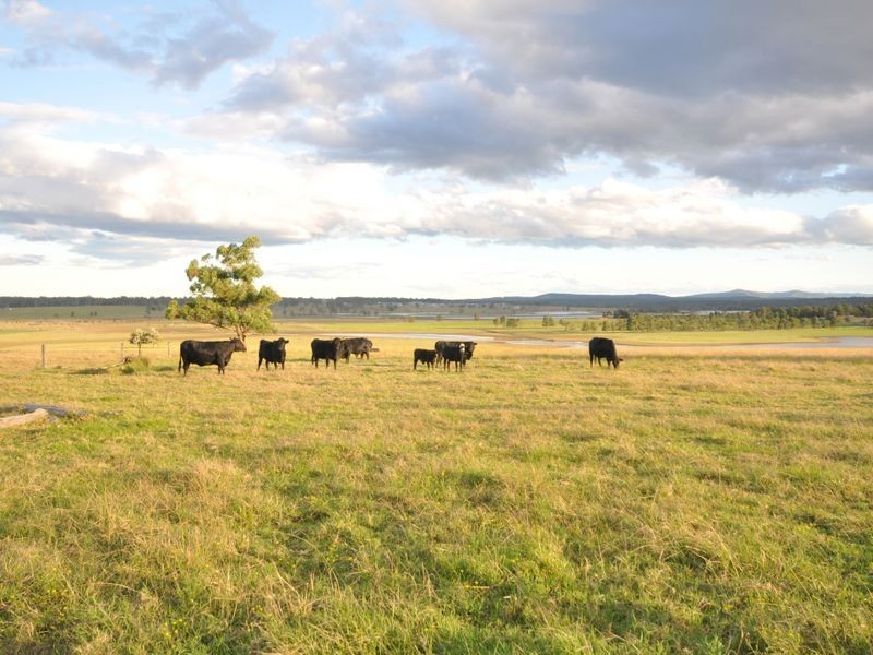 Lot 7 Duke Street, Morpeth NSW 2321