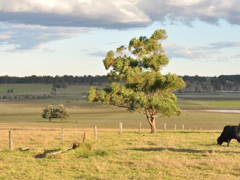 Lot 7 Duke Street, Morpeth NSW 2321