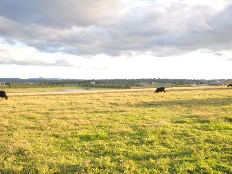 Lot 7 Duke Street, Morpeth NSW 2321