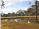 1106 Sandy Creek Road, Quorrobolong NSW 2325