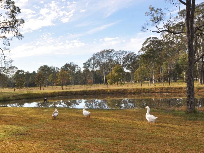 1106 Sandy Creek Road, Quorrobolong NSW 2325