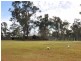 1106 Sandy Creek Road, Quorrobolong NSW 2325