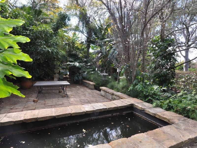 31 Regent Street, Maitland NSW 2320