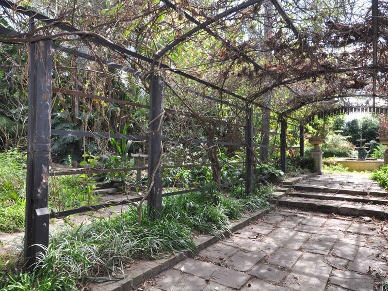 31 Regent Street, Maitland NSW 2320