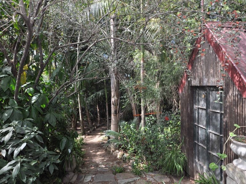 31 Regent Street, Maitland NSW 2320