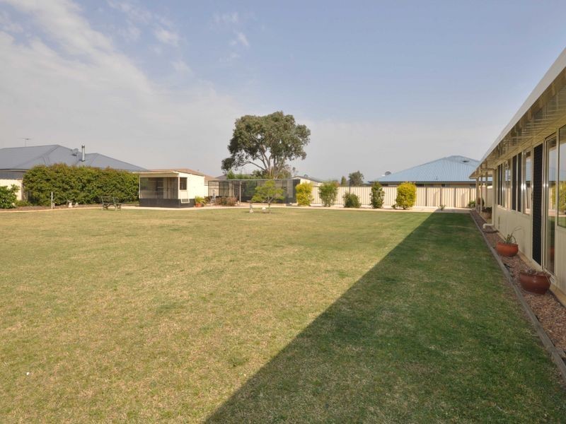 19 Radford Street, Cliftleigh NSW 2321