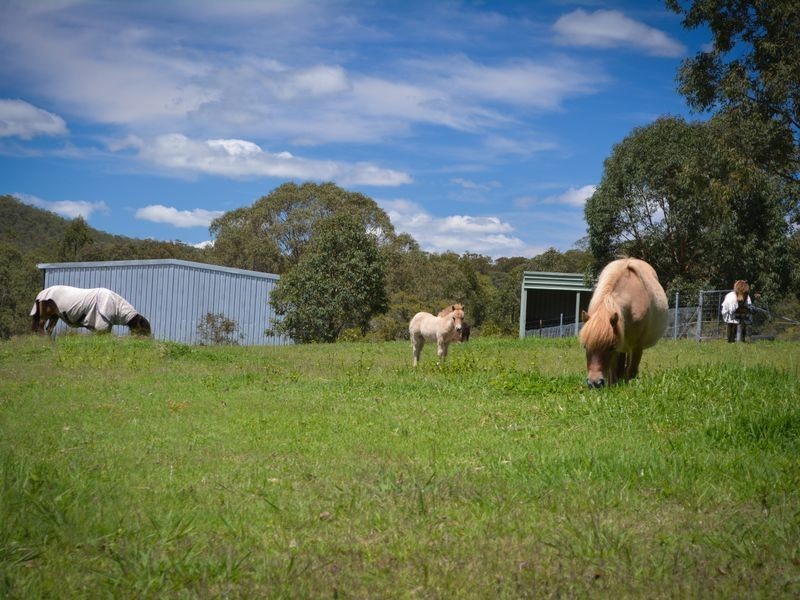 7 Storks Road Glen Oak, Maitland NSW 2320