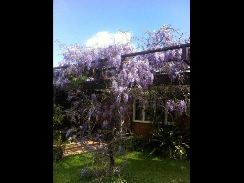 457 Cessnock Road, Gillieston Heights NSW 2321