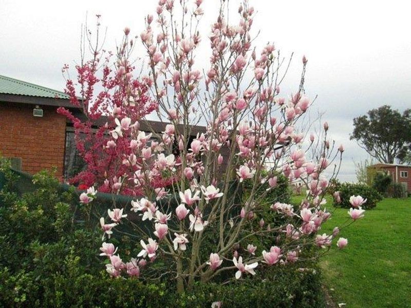 457 Cessnock Road, Gillieston Heights NSW 2321