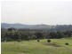Lot 118 Bolwarra Park Drive, Bolwarra Heights NSW 2320