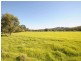 135 Martins Creek Road, Paterson NSW 2421
