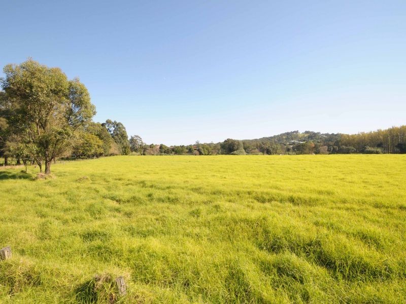 135 Martins Creek Road, Paterson NSW 2421