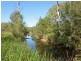 597 Webbers Creek Road, Paterson NSW 2421
