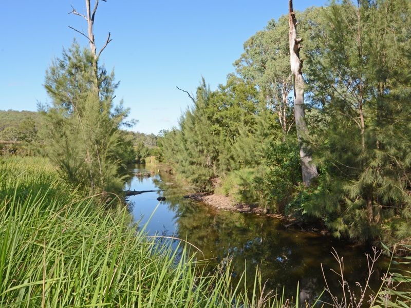597 Webbers Creek Road, Paterson NSW 2421