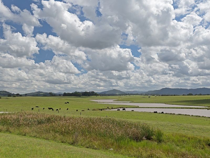 16 Hepburn Close, Rutherford NSW 2320