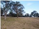 Lot 38 of Lot 423 Martins Creek Road, Paterson NSW 2421