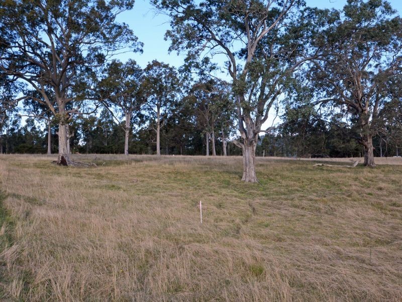 Lot 38 of Lot 423 Martins Creek Road, Paterson NSW 2421