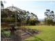 399 Old North Road, Lochinvar NSW 2321