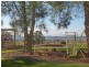 399 Old North Road, Lochinvar NSW 2321