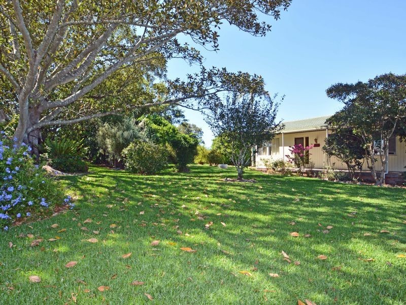 19 Swan Street, Hinton NSW 2321