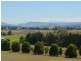 2 Stockyard Close, Lochinvar NSW 2321