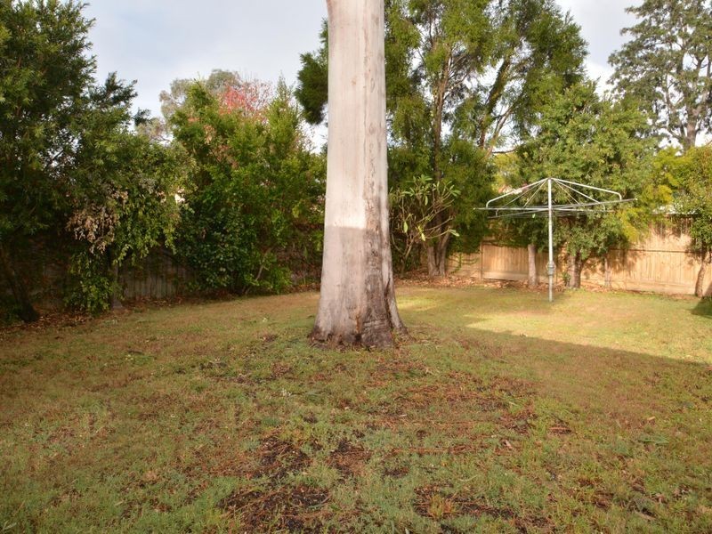 151 Lawes Street, East Maitland NSW 2323