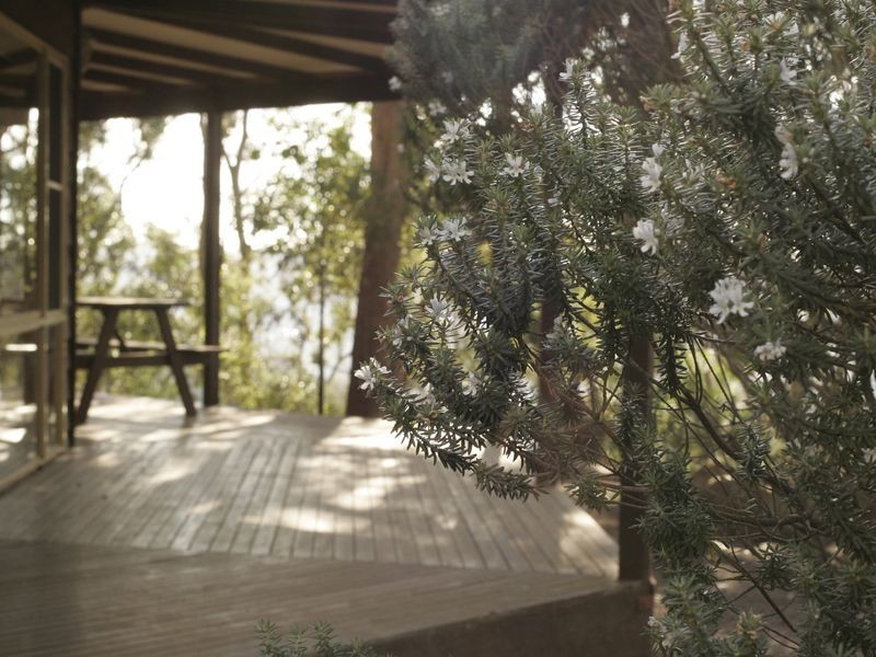 Moonabung Road, Vacy NSW 2421