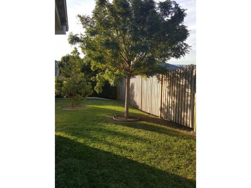 16 Redtail Street, Beresfield NSW 2322