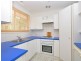 29 Stronach Ave, East Maitland NSW 2323
