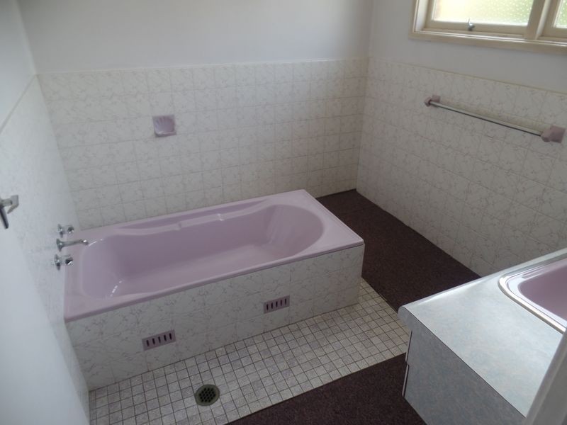 64 Maize Street, Tenambit NSW 2323