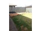 12 Burley Griffen Drive, Andrews Farm SA 5114