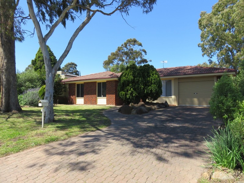 21 Callitris Avenue, Surrey Downs SA 5126