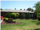 31 Japonica Crescent, Parafield Gardens SA 5107