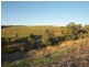 75 Reuben Richardson Road, Greenwith SA 5125