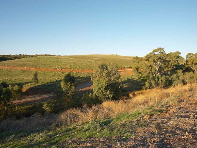 75 Reuben Richardson Road, Greenwith SA 5125