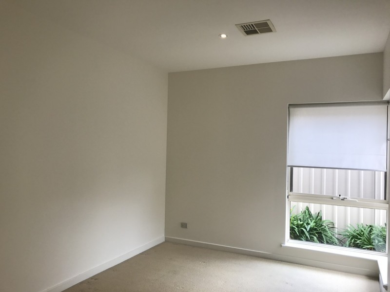 30A Blyth Street, Parkside SA 5063