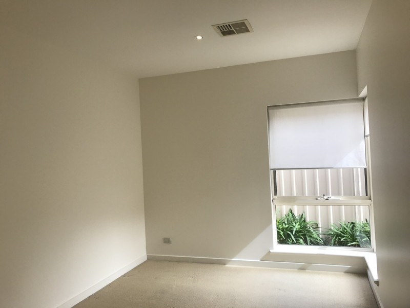 30A Blyth Street, Parkside SA 5063