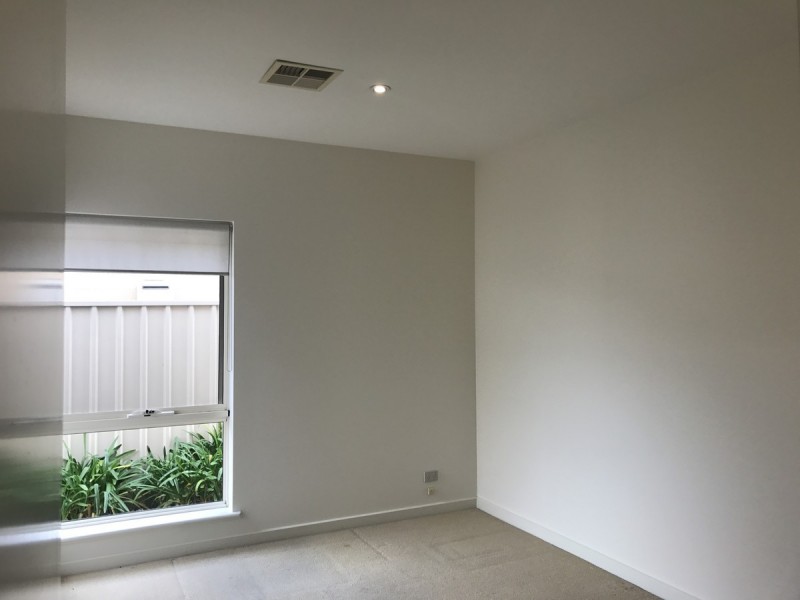 30A Blyth Street, Parkside SA 5063