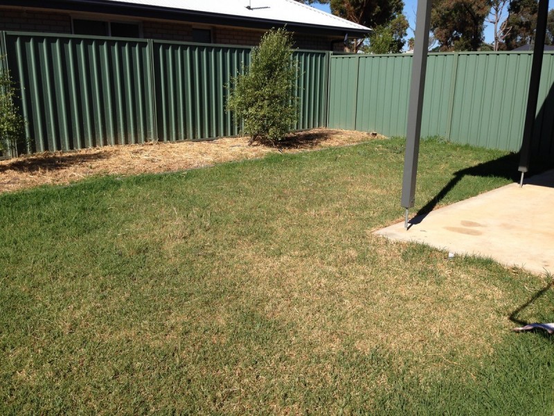 7 Lily Court, Elizabeth Park SA 5113