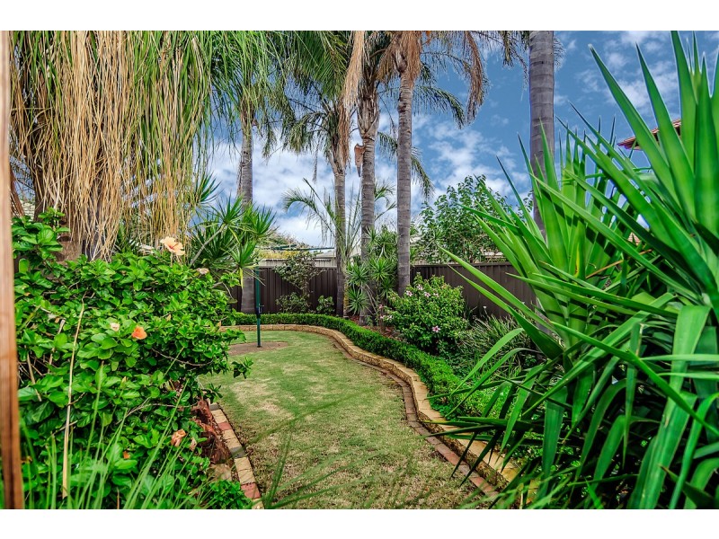 18 Bluebell Lane, Blakeview SA 5114