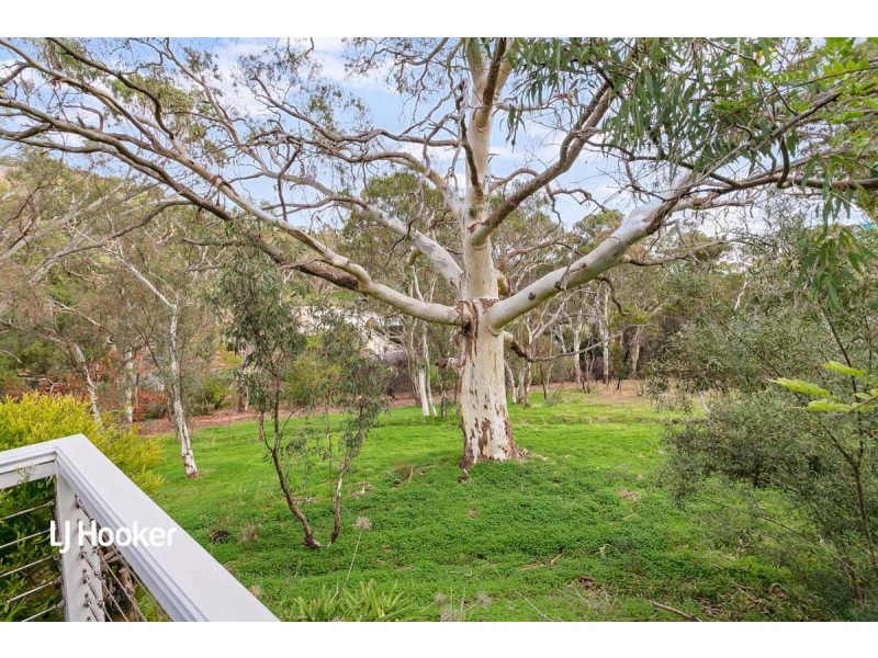 1 Camelia Street, Tea Tree Gully SA 5091