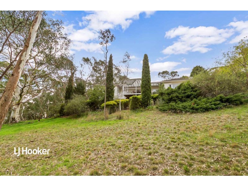 1 Camelia Street, Tea Tree Gully SA 5091
