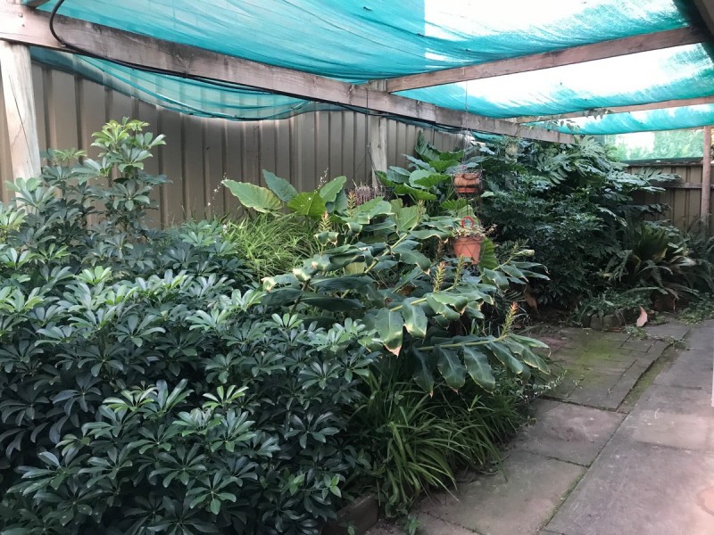 11 Raven Court, Wynn Vale SA 5127