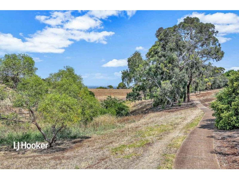17 Bent Court, Wynn Vale SA 5127