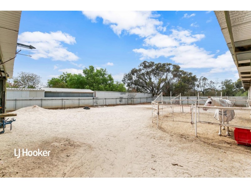 7 Alabar Crescent, Globe Derby Park SA 5110